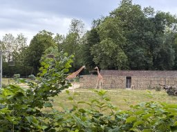 image 94